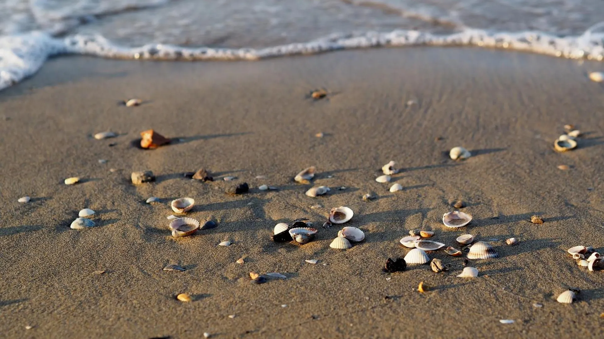 Apartment Accommodation Close To The Beach - Beahost - Bibione